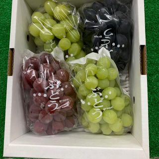 山形産　大粒ぶどう　　2kg   秀品(フルーツ)