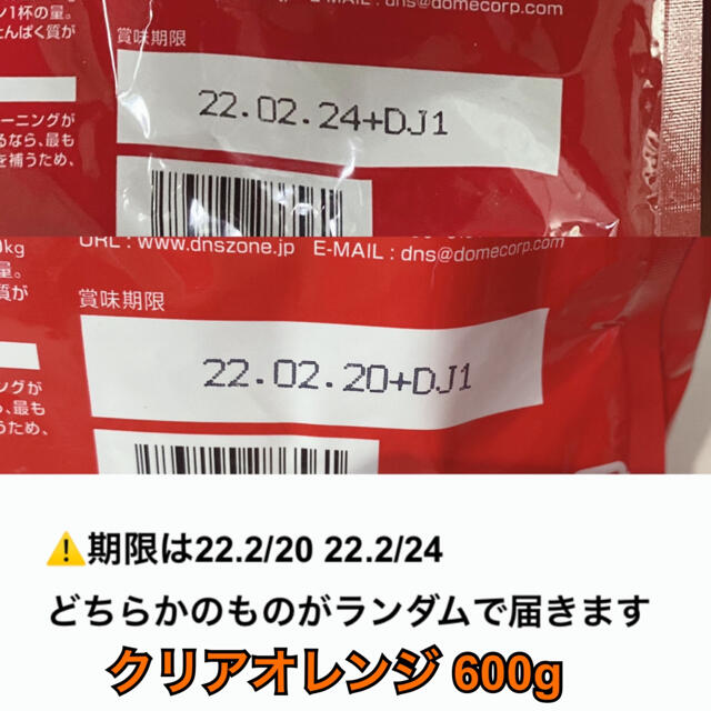 DNS プロテイン　ホエイプロテイン　シトラスオレンジ 600g ディーエヌエス