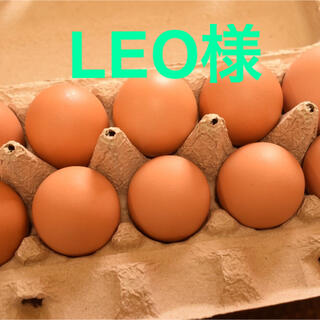 LEO様専用　平飼いたまご50個(野菜)