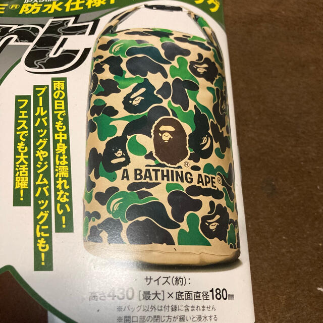 A BATHING APE(アベイシングエイプ)の新品未使用！アベイシングエイプバッグ　スマート付録 メンズのバッグ(ボディーバッグ)の商品写真