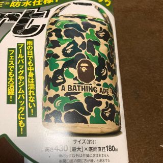 アベイシングエイプ(A BATHING APE)の新品未使用！アベイシングエイプバッグ　スマート付録(ボディーバッグ)