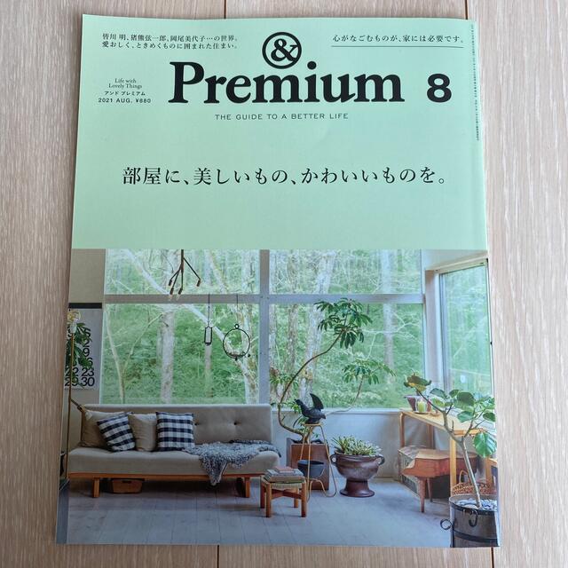 &Premium (アンド プレミアム) 2021年 08月号 エンタメ/ホビーの雑誌(その他)の商品写真
