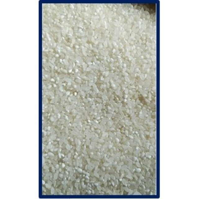 米/穀物　コシヒカリ20kg白米(JA出荷時一等米)令和3年産　山形県産