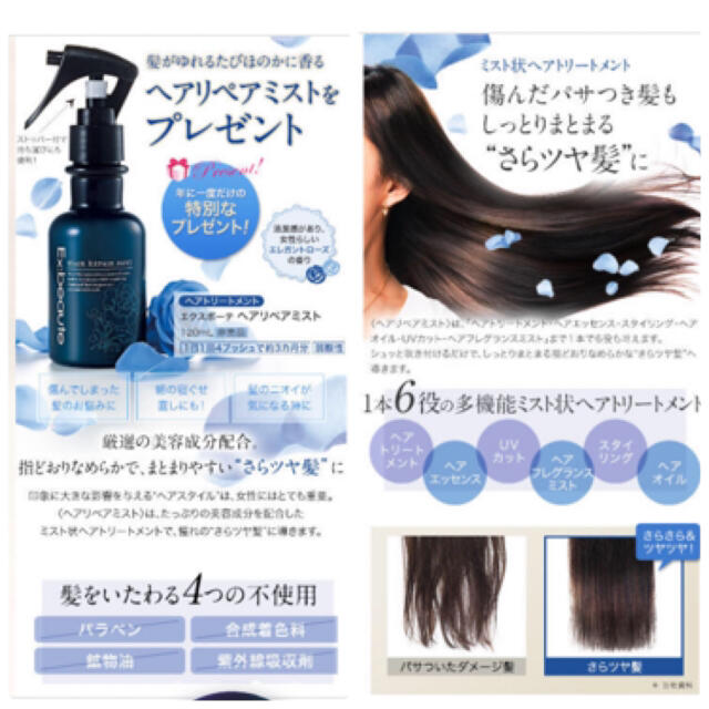 Ex:beaute(エクスボーテ)のマードゥレクス エクスボーテ ヘアリペアミスト  コスメ/美容のヘアケア/スタイリング(トリートメント)の商品写真