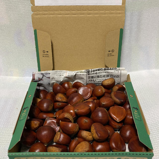 ポロタン c  1.3kg 貯蔵栗(収穫9月中旬で写真2〜3枚目の状態で保冷中) 食品/飲料/酒の食品(野菜)の商品写真