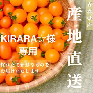 【イエローミミ】2kg  KIRARA☆様専用 採れたて☘️産地直送いたします(野菜)