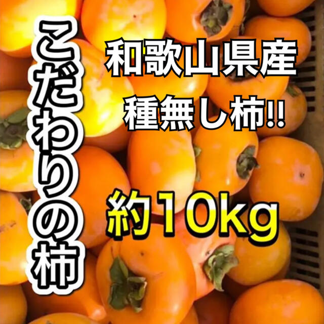 種無し柿 約10キロ ご家庭用 食品/飲料/酒の食品(フルーツ)の商品写真