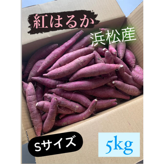 #2  紅はるかSサイズ  静岡県浜松産 小さめ  さつまいも 5kg 食品/飲料/酒の食品(野菜)の商品写真