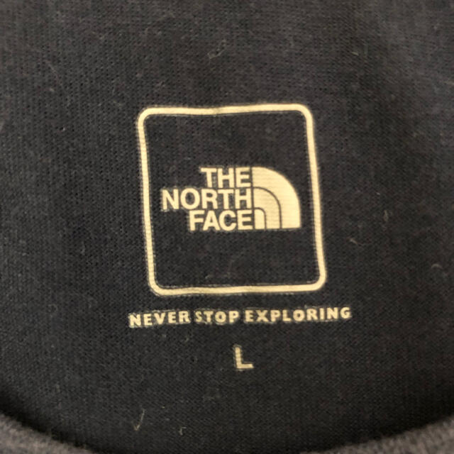 THE NORTH FACE(ザノースフェイス)のTHE NORTH FACE Tシャツ メンズのトップス(Tシャツ/カットソー(半袖/袖なし))の商品写真