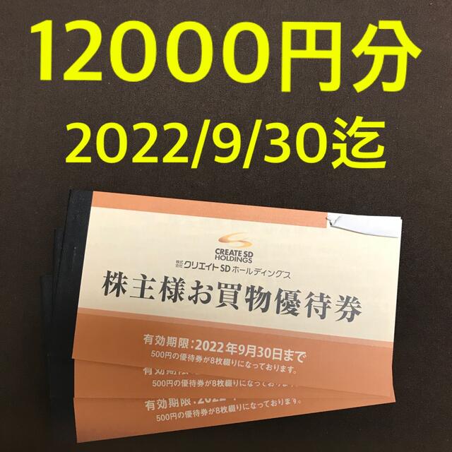 クリエイトSD 株主優待 12000円分 ラクマパック - ショッピング