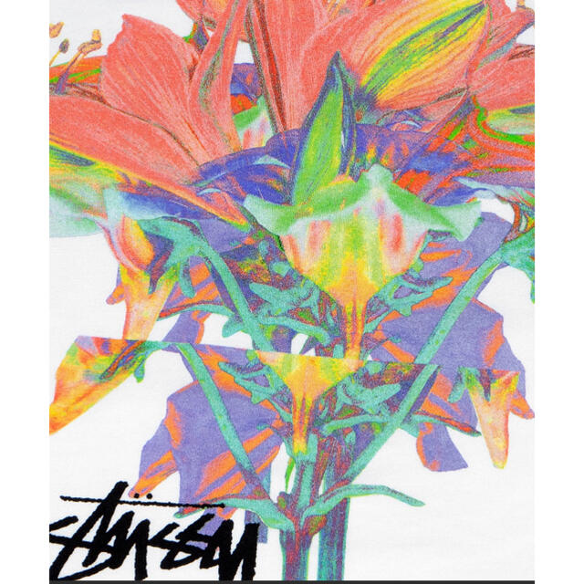 STUSSY(ステューシー)のSTUSSY Design Group21Tee  Tシャツ メンズのトップス(Tシャツ/カットソー(七分/長袖))の商品写真