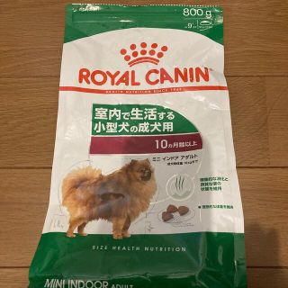 ロイヤルカナン(ROYAL CANIN)の最終値下げ　ロイヤルカナン　ドックフード(犬)