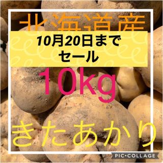 北海道産訳ありキタアカリ10kg(野菜)