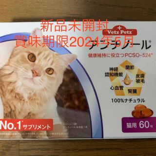 アンチノール猫用60粒1ケース(猫)