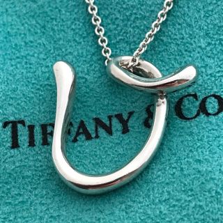 ティファニー(Tiffany & Co.)のTiffanyイニシャルv ロング チェーンネックレス(ネックレス)