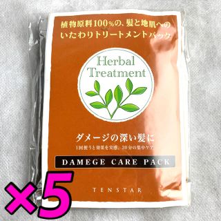 テンスター  ヘナダメージケアパック 5個(ヘアパック/ヘアマスク)