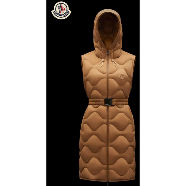 MONCLER(モンクレール)のモンクレール　ジレ Liveche レディースのジャケット/アウター(ダウンジャケット)の商品写真