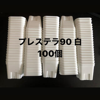 プレステラ90 白　100個セット(プランター)