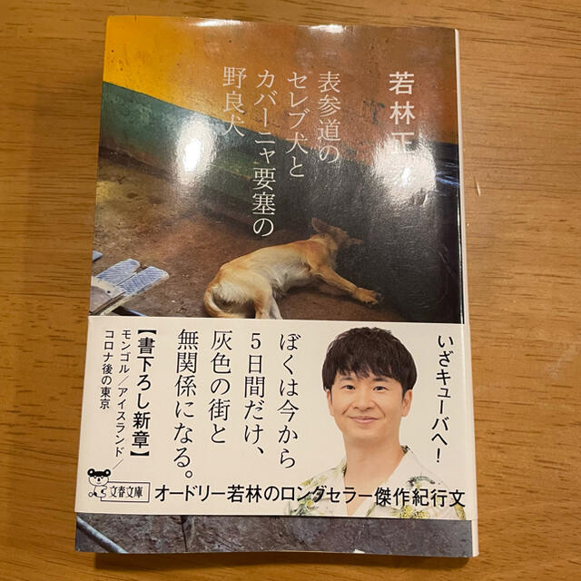 表参道のセレブ犬とカバーニャ要塞の野良犬 エンタメ/ホビーの本(その他)の商品写真