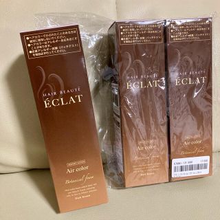 ヘアボーテ エクラ ボタニカル 150g ダークブラウン　3本(白髪染め)