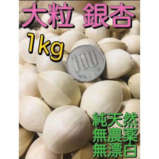 福岡産　無農薬　無漂白　大粒　銀杏　1kg  (野菜)