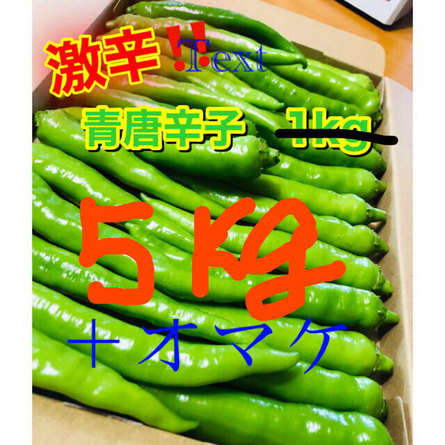 【送料関税無料】 おちさん専用ページ‼️青唐辛子　杭椒　5kg  +1kg  オマケ 野菜