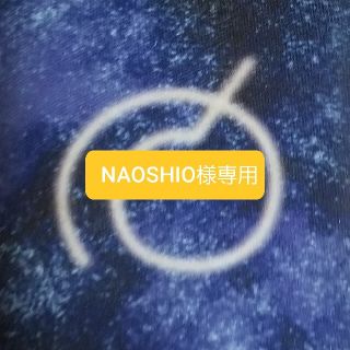 NAOSHIO様専用(その他)