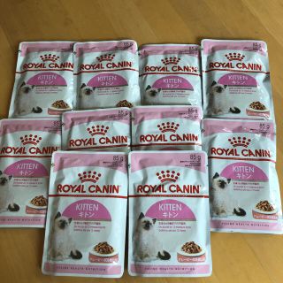 ロイヤルカナン(ROYAL CANIN)のロイヤルカナン　キトン　グレービー　10個(ペットフード)