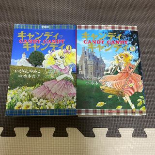 ちぬちゃん様専用 キャンディキャンディ 愛蔵版 1巻2巻(少女漫画)