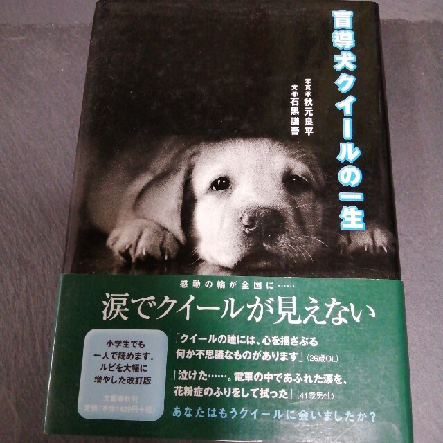 盲導犬クイ-ルの一生 エンタメ/ホビーの本(ノンフィクション/教養)の商品写真