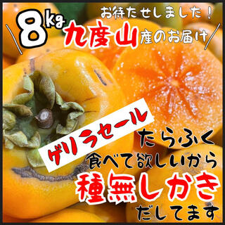 和歌山県産　九度山　種無し柿　箱込み８kg(フルーツ)