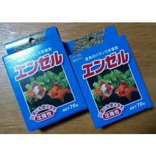 ニホンペットフード(日本ペットフード)のエンゼル 金魚のバランス栄養食 70g×2箱(爬虫類/両生類用品)