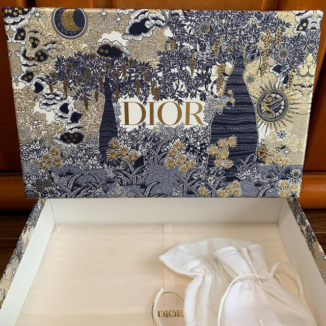 Christian Dior(クリスチャンディオール)のレディディオール　クラッチショルダー　美品 レディースのバッグ(ショルダーバッグ)の商品写真