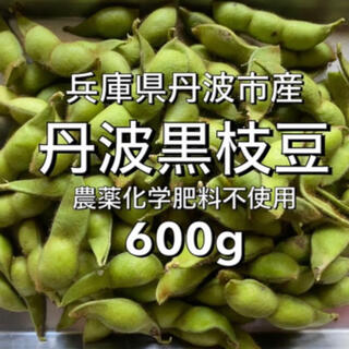 兵庫県丹波市産／丹波黒枝豆サヤのみ600g(野菜)