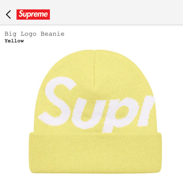 supreme 21aw big logo beanie