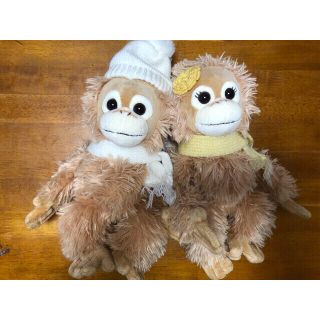 Baby Coco ぬいぐるみセット　ベイビー ココ ナツ(ぬいぐるみ)