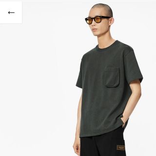 LOUIS VUITTON - ルイヴィトン シグネチャー3DポケットモノグラムT