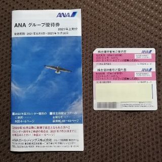 ANA株主優待券２枚＋優待冊子のセット(その他)