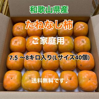 L3 和歌山県産　たねなし柿♪ ご家庭用　40個入り(フルーツ)