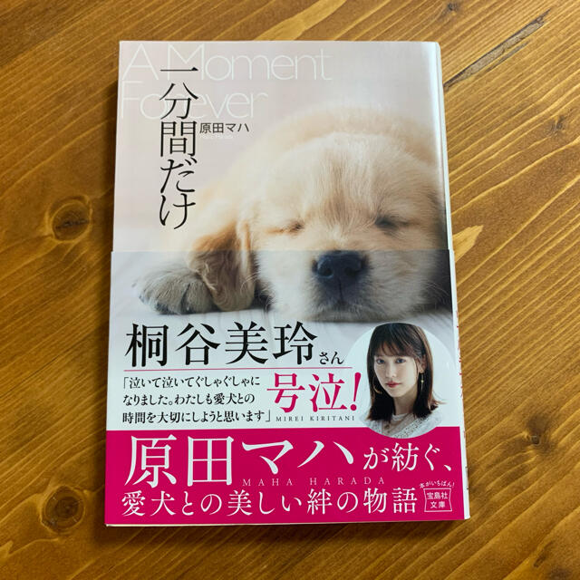 一分間だけ エンタメ/ホビーの本(文学/小説)の商品写真