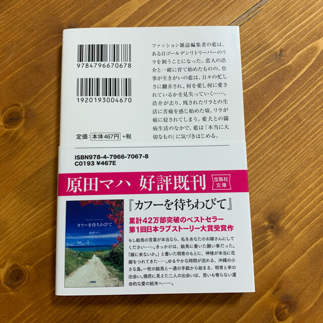 一分間だけ エンタメ/ホビーの本(文学/小説)の商品写真