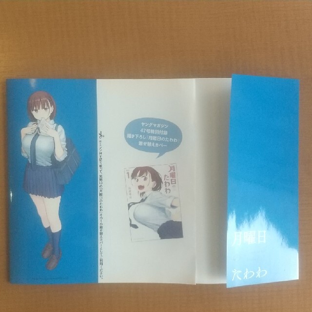 月曜日のたわわ 着せ替えカバー エンタメ/ホビーのアニメグッズ(その他)の商品写真