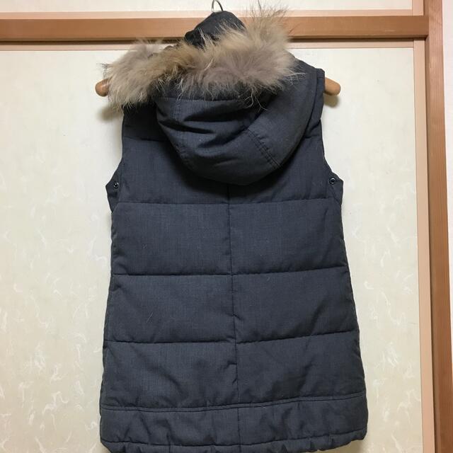 プラステ ダウンベスト ファー付き バンヤードストーム