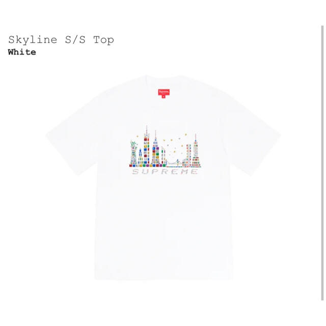 supreme  Skyline S/S Top Lサイズ