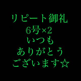 さびき 仕掛け針 2枚◉6号×2点 他より太く丈夫な糸 最安値(釣り糸/ライン)