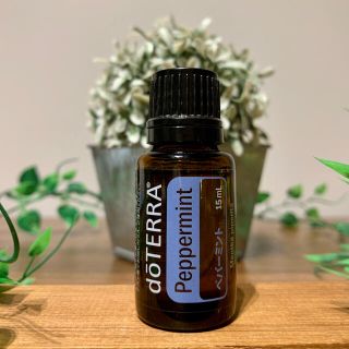 doTERRA ドテラ ペパーミント 15ml 新品・未開封(エッセンシャルオイル（精油）)