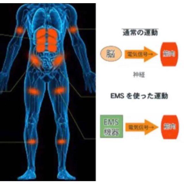❤スポーツトレーナー監修❣鍛えたい筋肉を効果的に刺激