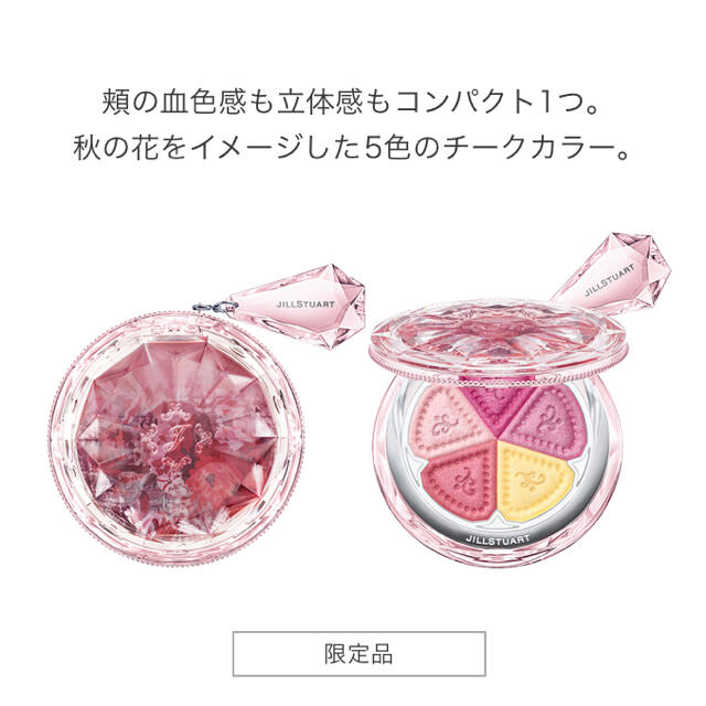 【限定品】ジルスチュアート＊チーク チークブラシセット 2点セット