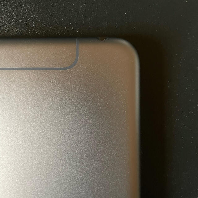 iPad - iPad mini 5 Wi-Fi + Cellular 64GB おまけ付きの通販 by