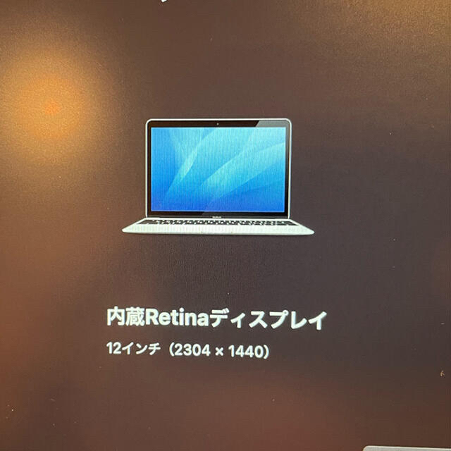 Apple(アップル)の美品 MacBook Retina 12inch Early 2015 US スマホ/家電/カメラのPC/タブレット(ノートPC)の商品写真